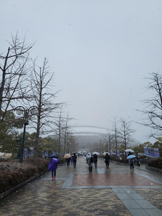 1645267534284007299.jpg 88.jpg